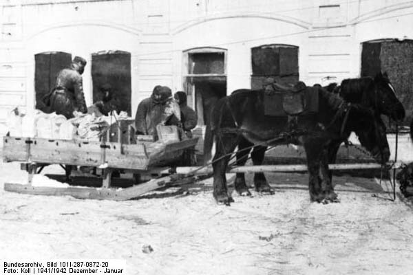 Bundesarchiv_Bild_101I-287-0872-20,_Russland_(bei_Orel),_Pferdegespann