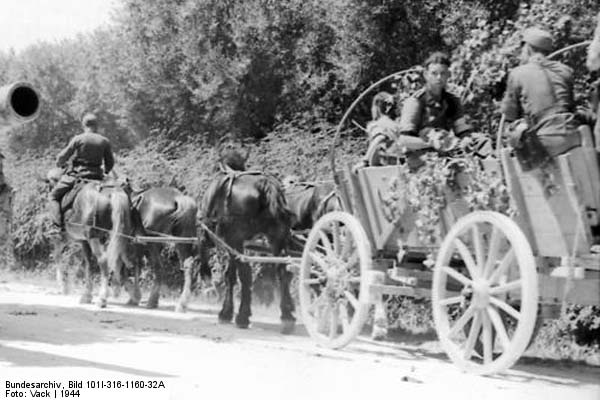 Bundesarchiv_Bild_101I-316-1160-32A,_Italien,_bespannte_Einheit_auf_dem_Marsch