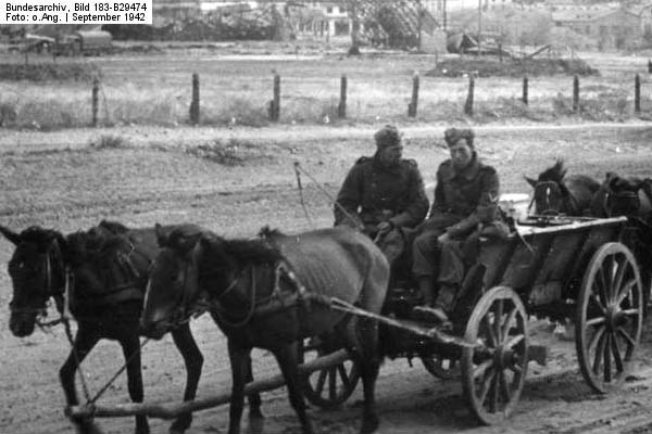 Bundesarchiv_Bild_183-B29474,_Russland,_Kampf_um_Stalingrad,_Grenadiere