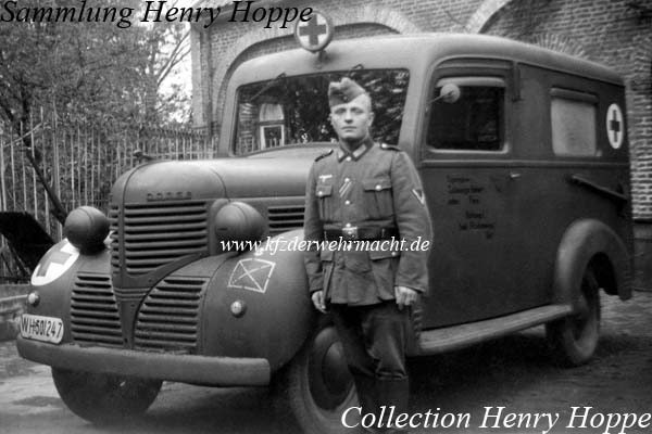 Dodge Sankra WH-501247, Hoppe