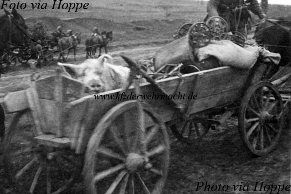 Feldwagen_landesblich_im_Osten_Wilhelm_via_Hoppe