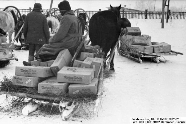 Bundesarchiv_Bild_101I-287-0872-32,_Russland_(_bei_Orel),_Pferde-Schlittengespanne