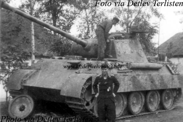 Panther_D_II_PzRgt_3_Ter